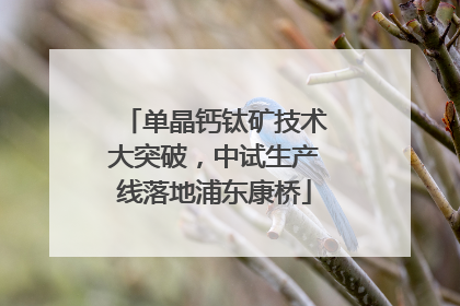 单晶钙钛矿技术大突破，中试生产线落地浦东康桥